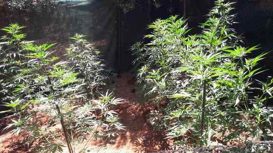 Φωτογραφία αρχείου